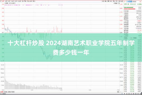 十大杠杆炒股 2024湖南艺术职业学院五年制学费多少钱一年