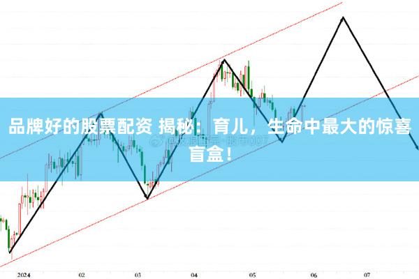 品牌好的股票配资 揭秘：育儿，生命中最大的惊喜盲盒！