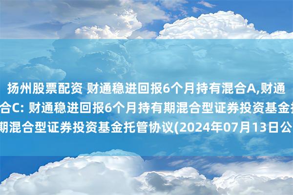 扬州股票配资 财通稳进回报6个月持有混合A,财通稳进回报6个月持有混合C: 财通稳进回报6个月持有期混合型证券投资基金托管协议(2024年07月13日公告)