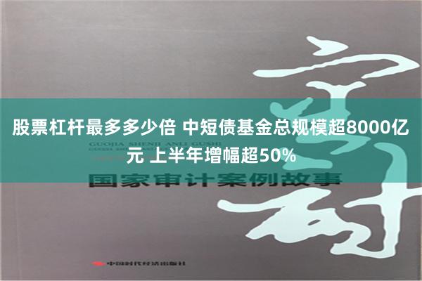 股票杠杆最多多少倍 中短债基金总规模超8000亿元 上半年增幅超50%