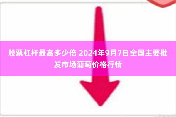 股票杠杆最高多少倍 2024年9月7日全国主要批发市场葡萄价格行情