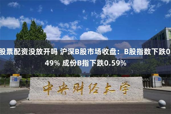 股票配资没放开吗 沪深B股市场收盘：B股指数下跌0.49% 成份B指下跌0.59%