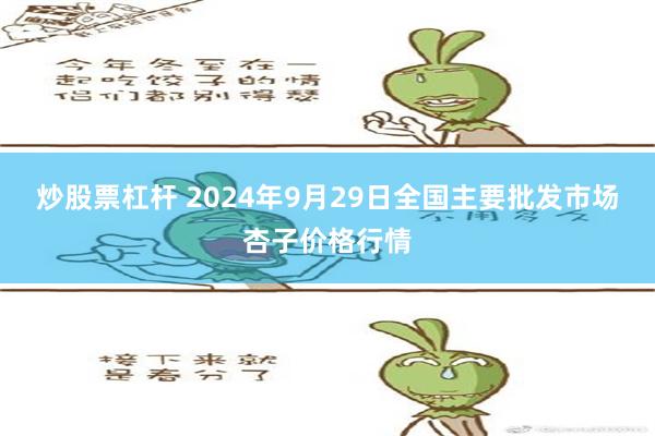 炒股票杠杆 2024年9月29日全国主要批发市场杏子价格行情