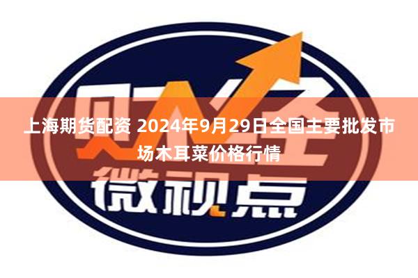 上海期货配资 2024年9月29日全国主要批发市场木耳菜价格行情