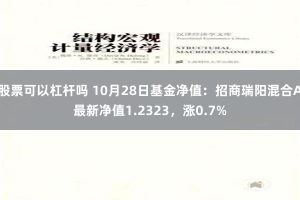 股票可以杠杆吗 10月28日基金净值：招商瑞阳混合A最新净值1.2323，涨0.7%