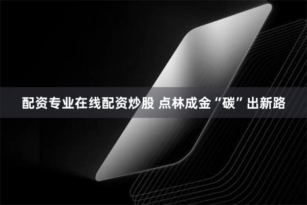 配资专业在线配资炒股 点林成金“碳”出新路