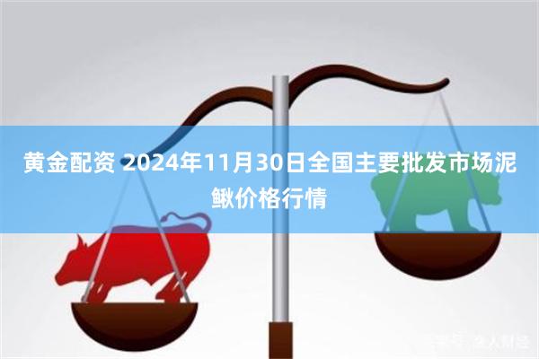 黄金配资 2024年11月30日全国主要批发市场泥鳅价格行情