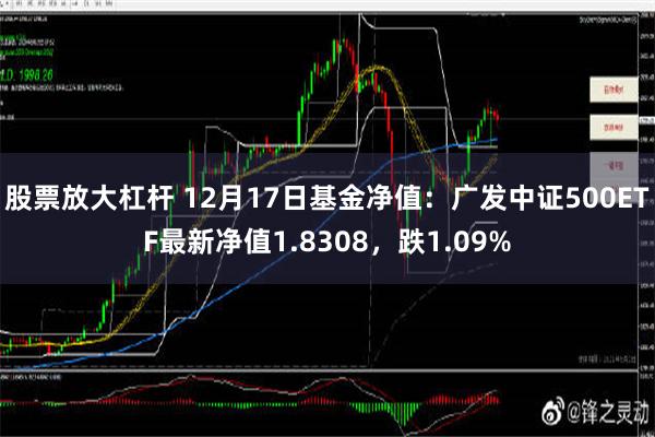 股票放大杠杆 12月17日基金净值：广发中证500ETF最新净值1.8308，跌1.09%