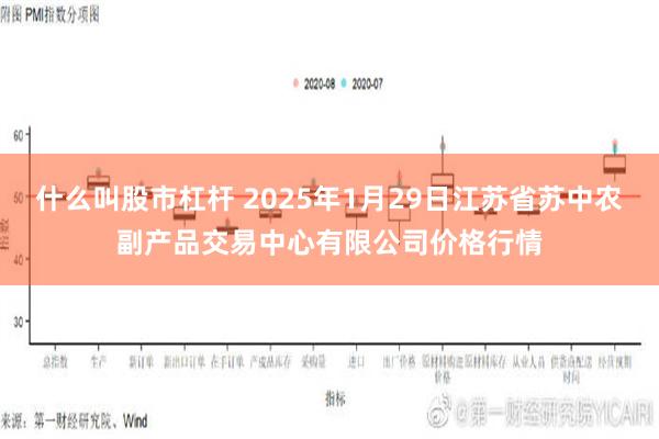 什么叫股市杠杆 2025年1月29日江苏省苏中农副产品交易中心有限公司价格行情